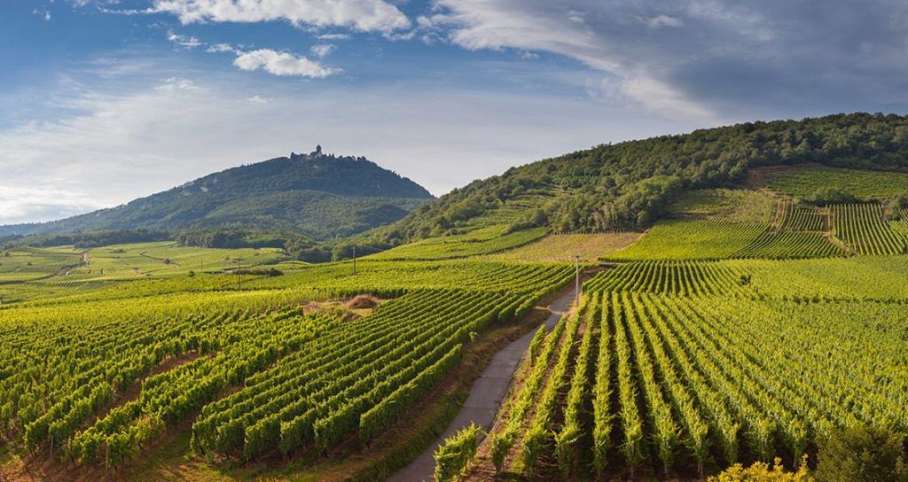 Destination Bourgogne