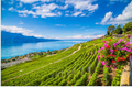 Pacchetto Travel Planner — L'Epicurien