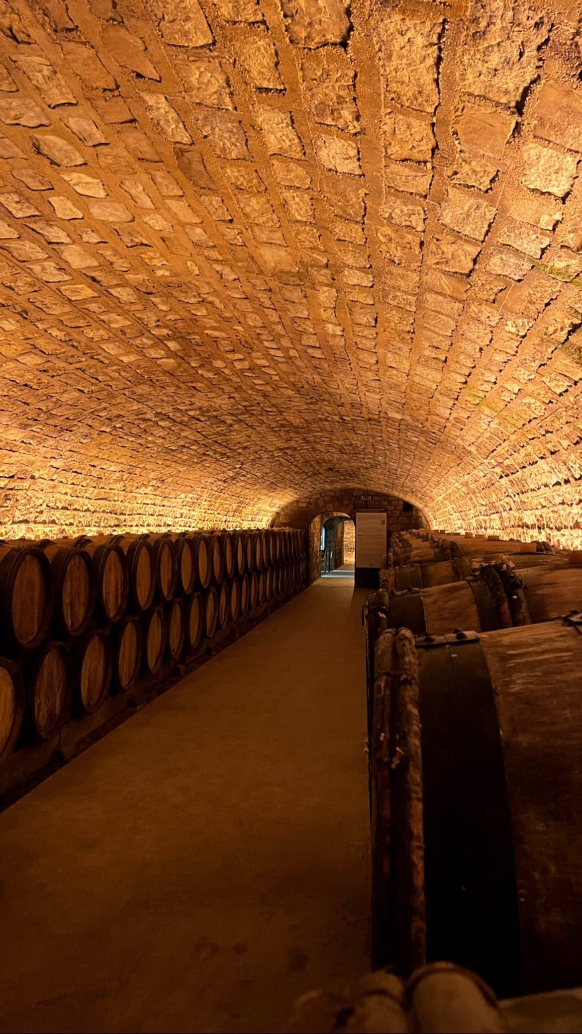 Barriques dans une cave d'un domaine viticole en Bourgogne